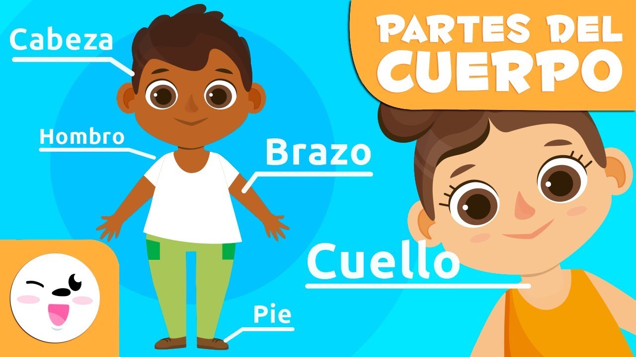 Aprendiendo sobre la silueta del cuerpo humano en preescolar
