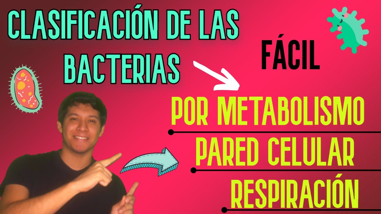 Bacterias: nutrición y respiración