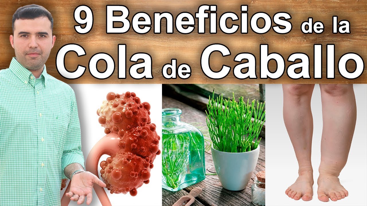 Beneficios de la cola de caballo para el cabello