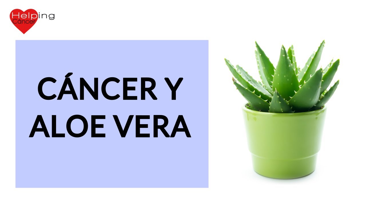 Beneficios de la sábila para el cáncer de próstata