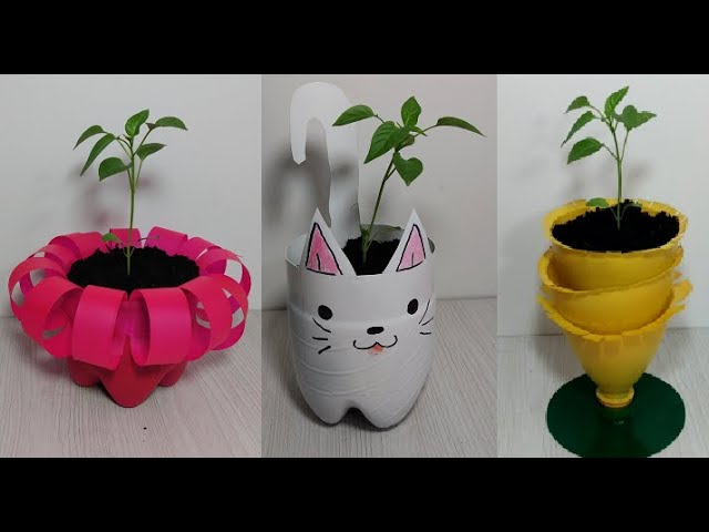 Botellas de plástico decoradas con plantas