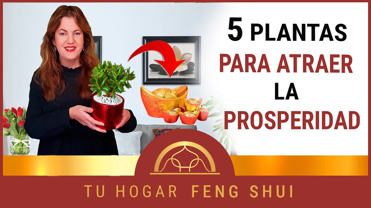 Colocación óptima de las plantas del dinero feng shui