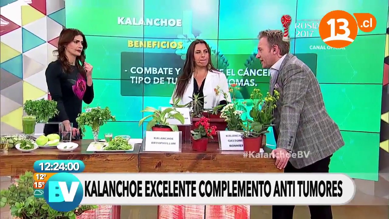 Cómo Consumir Aranto para el Cáncer