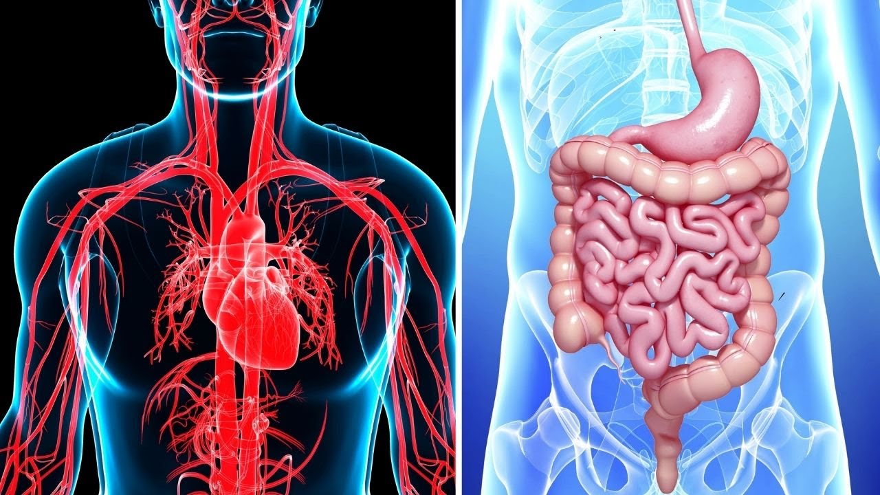 Comparativa de aparatos y sistemas