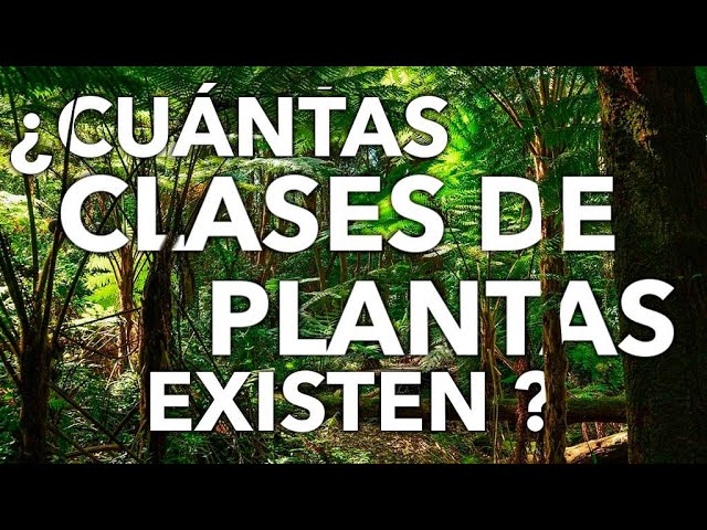 Cuántas plantas existen en el mundo