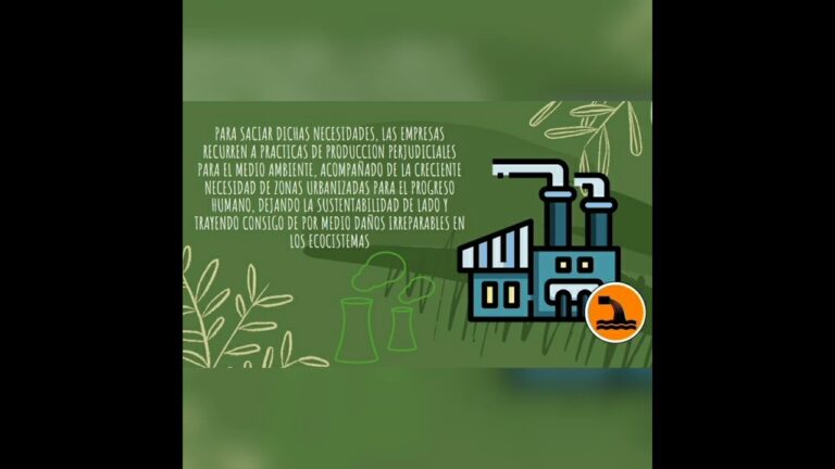 Ensayo sobre cuidado del medio ambiente - Mi Tienduca
