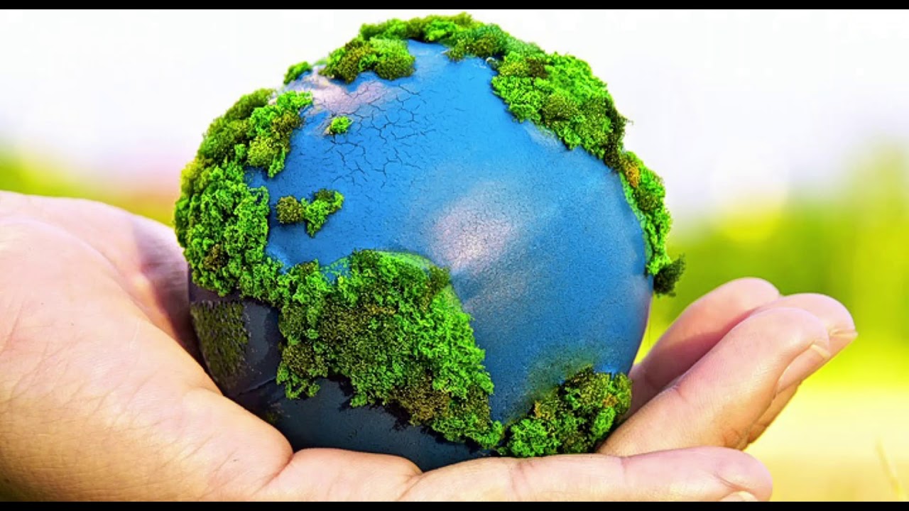 Estrategias de sustentabilidad socio-cultural