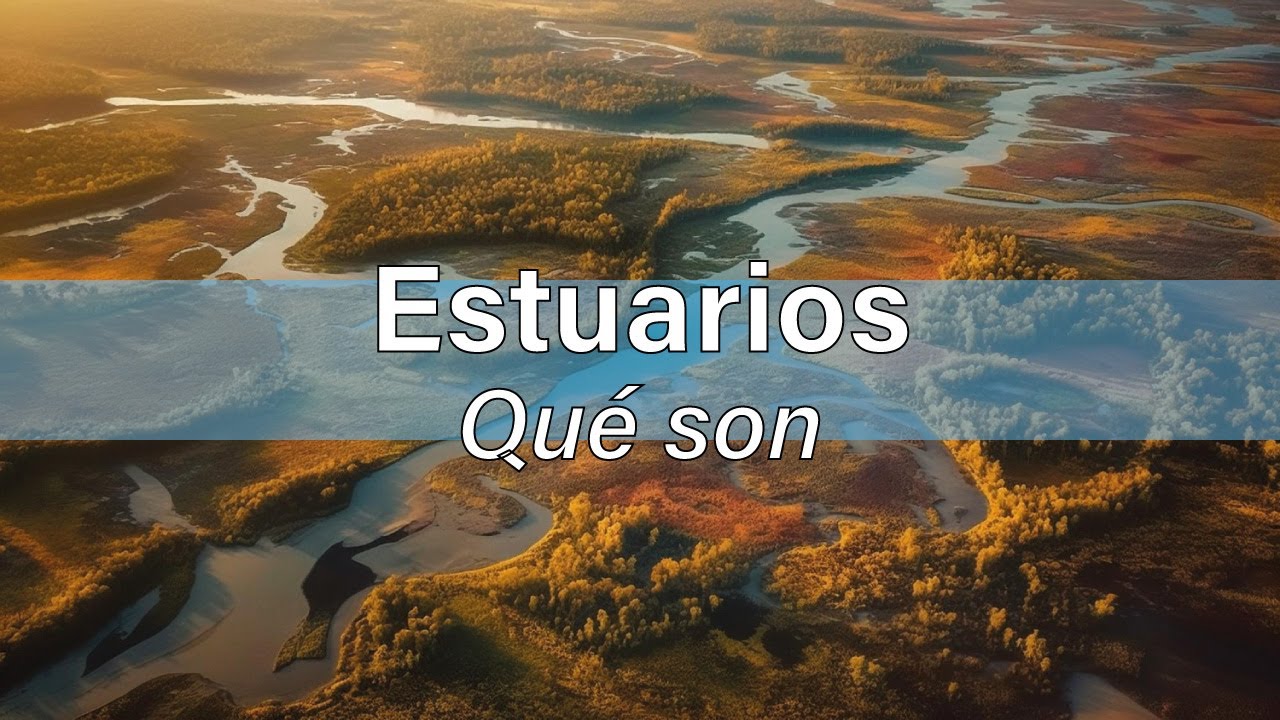 Explorando los estuarios mexicanos: características únicas