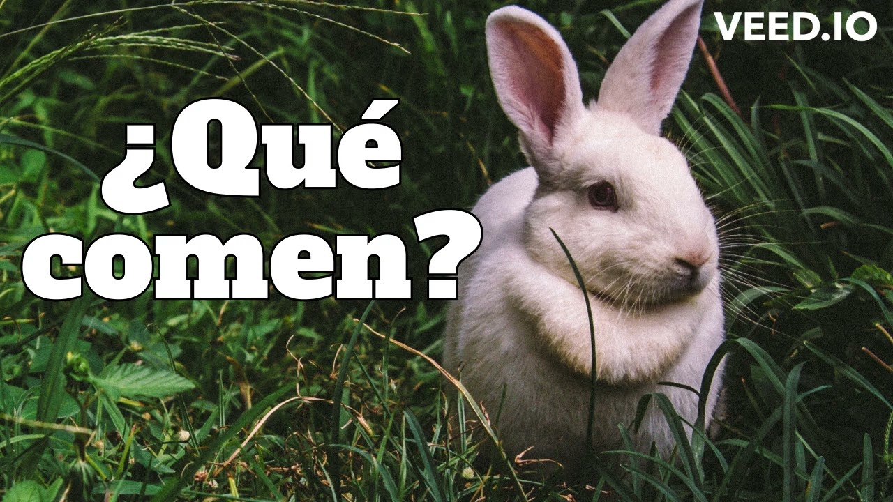 La dieta de los árboles: ¿Qué comen?