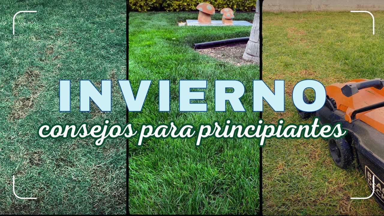 Mantenimiento del césped en invierno