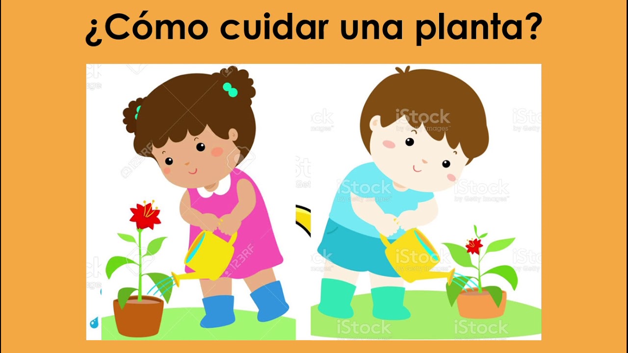 Manual de cuidado de plantas para preescolares