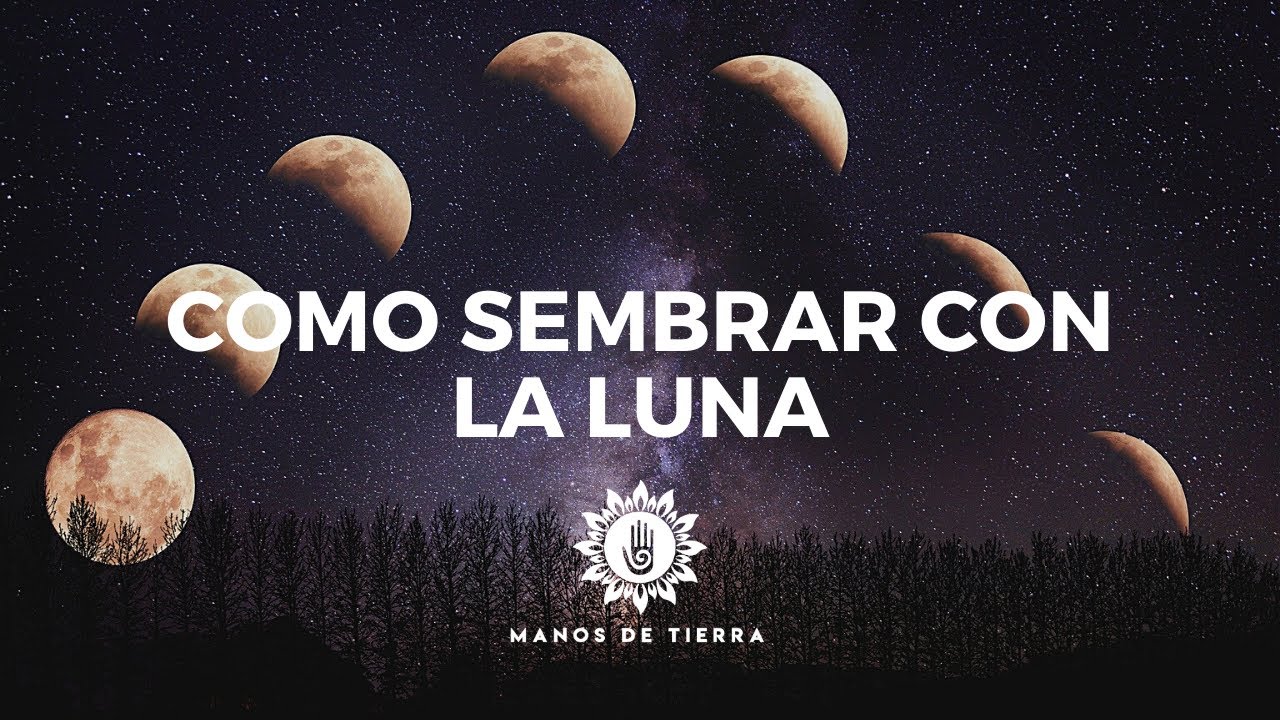 Mejor época de siembra según la luna