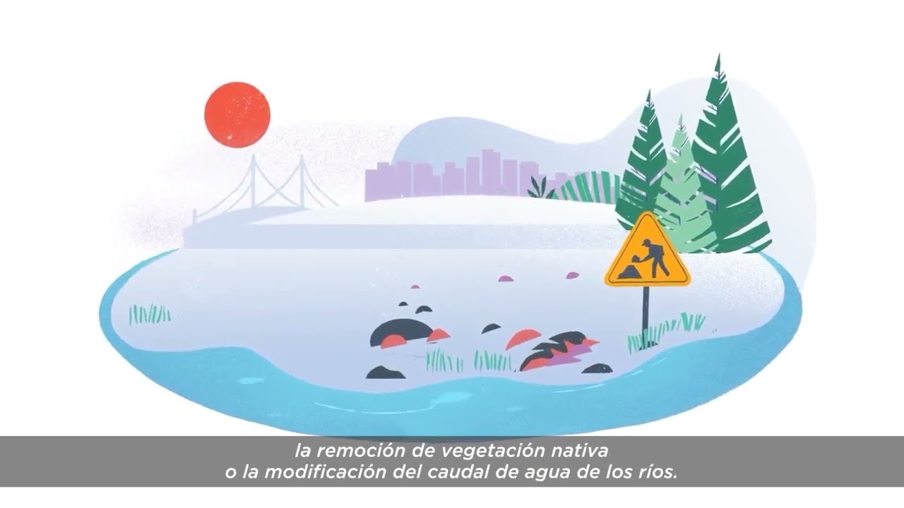 Métodos para medir el impacto ambiental de una empresa