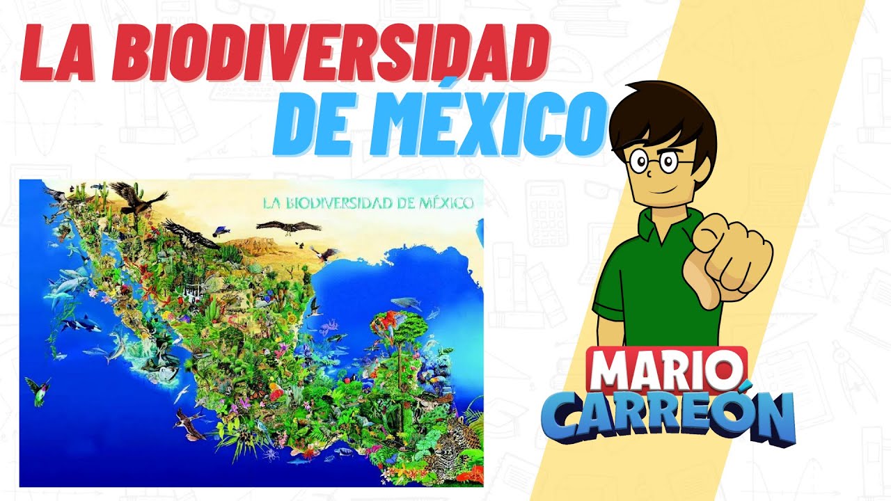 México y su posición en la diversidad de anfibios