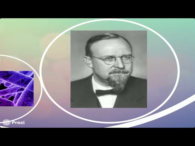 Origen de la vida: una línea del tiempo