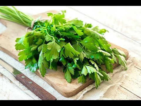 Origen del perejil: ¡un toque de frescura en tu cocina!
