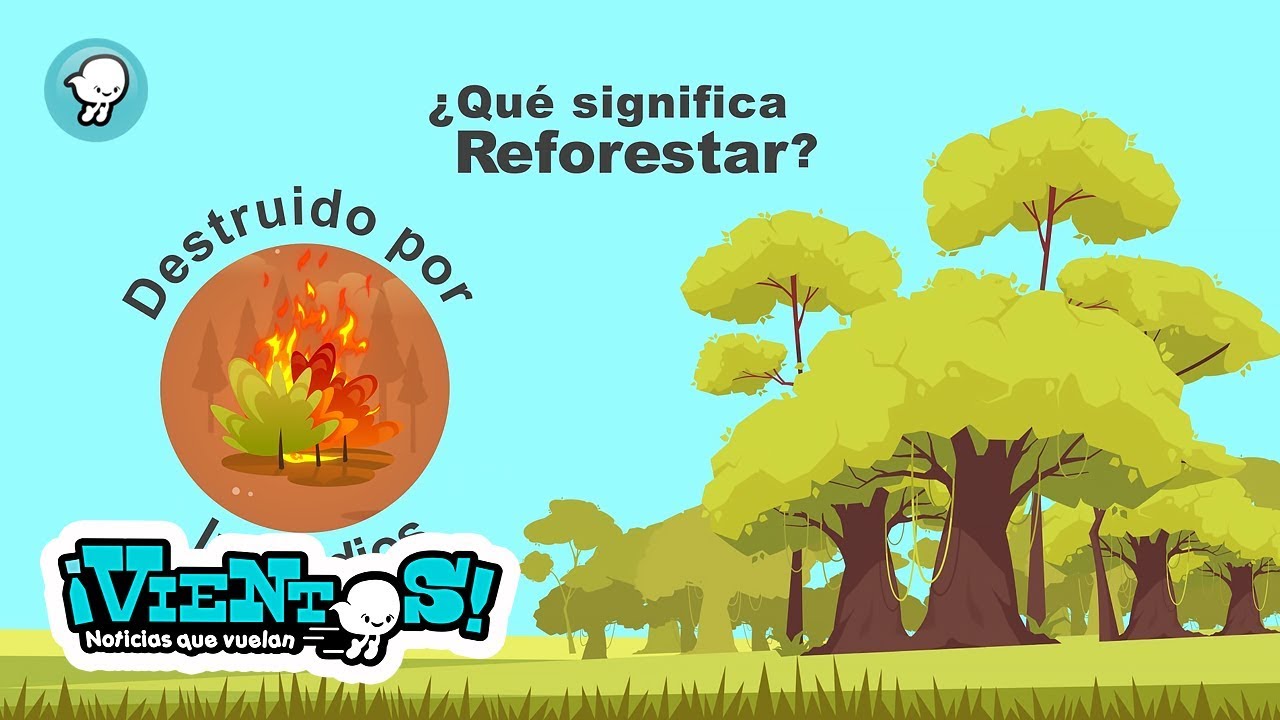 Reforestación comunitaria: un proyecto necesario