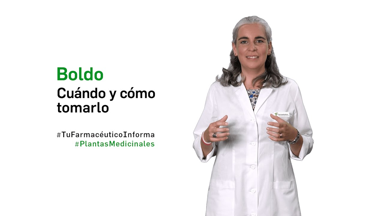 Té de boldo: beneficios y cómo tomarlo