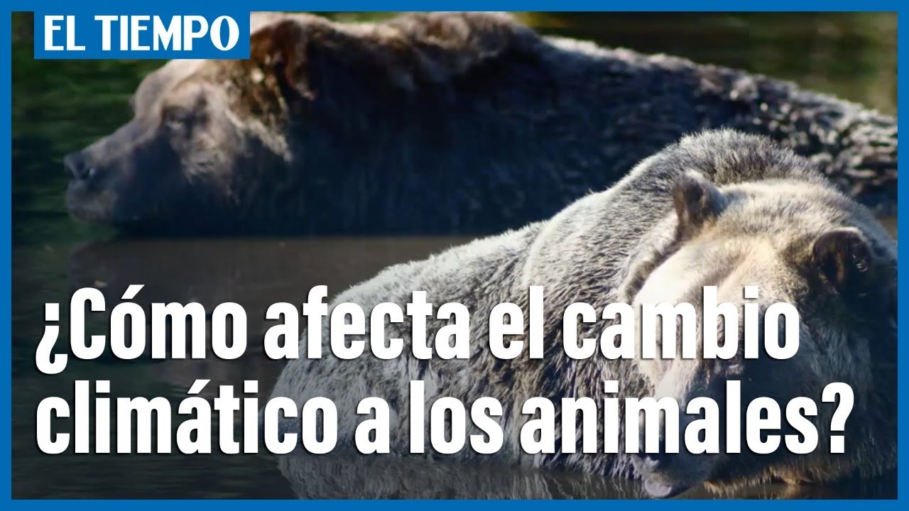 ¿Por qué los cambios de estación afectan a los seres vivos?