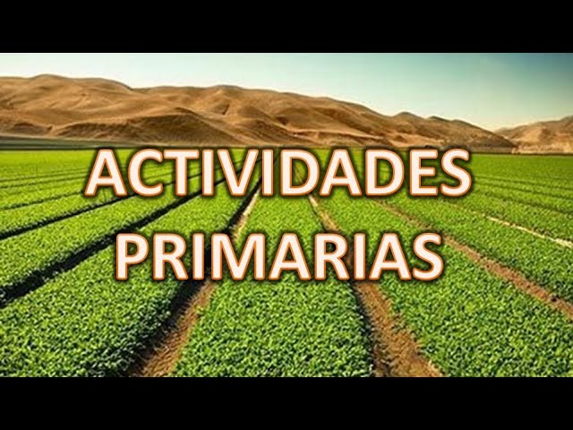 Actividades de geografía para quinto grado