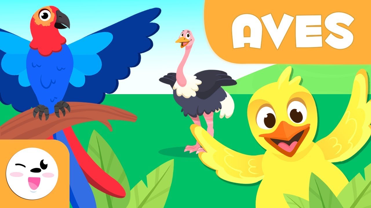 Actividades sobre aves para preescolares