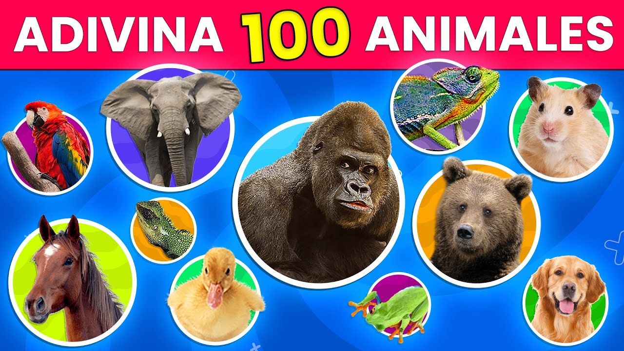 Adivina los nombres de los animales