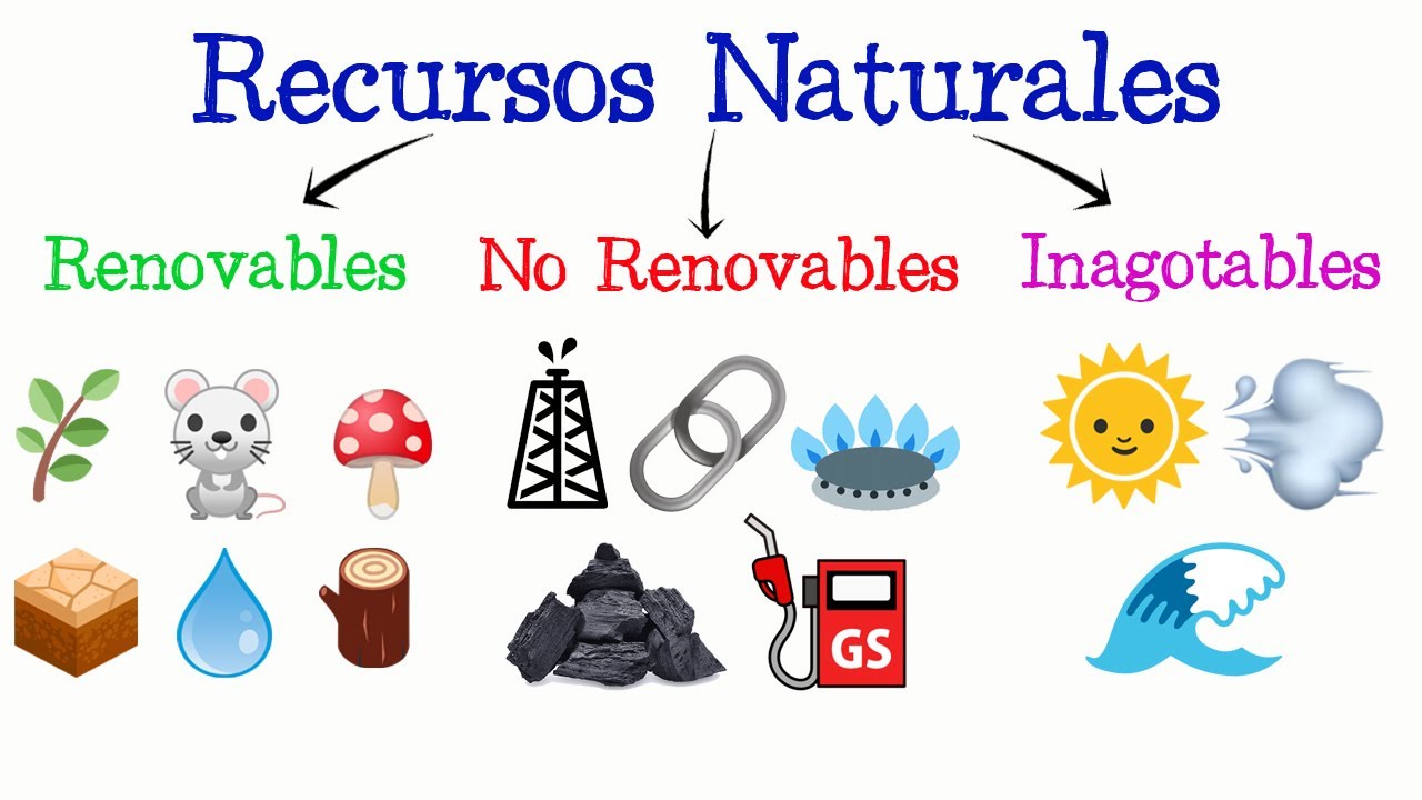 Alerta: productos no renovables que consumimos diariamente