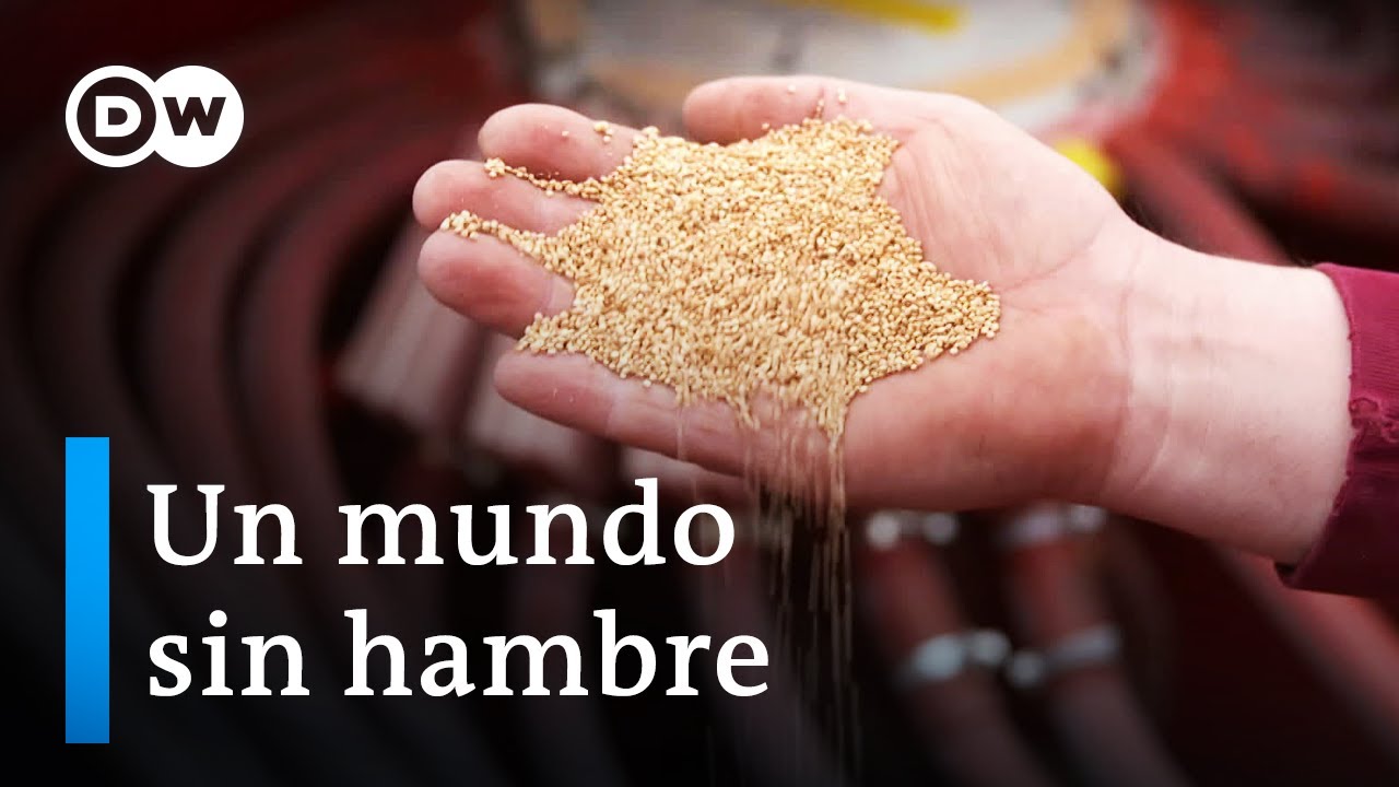 Alimentos locales: producción comunitaria