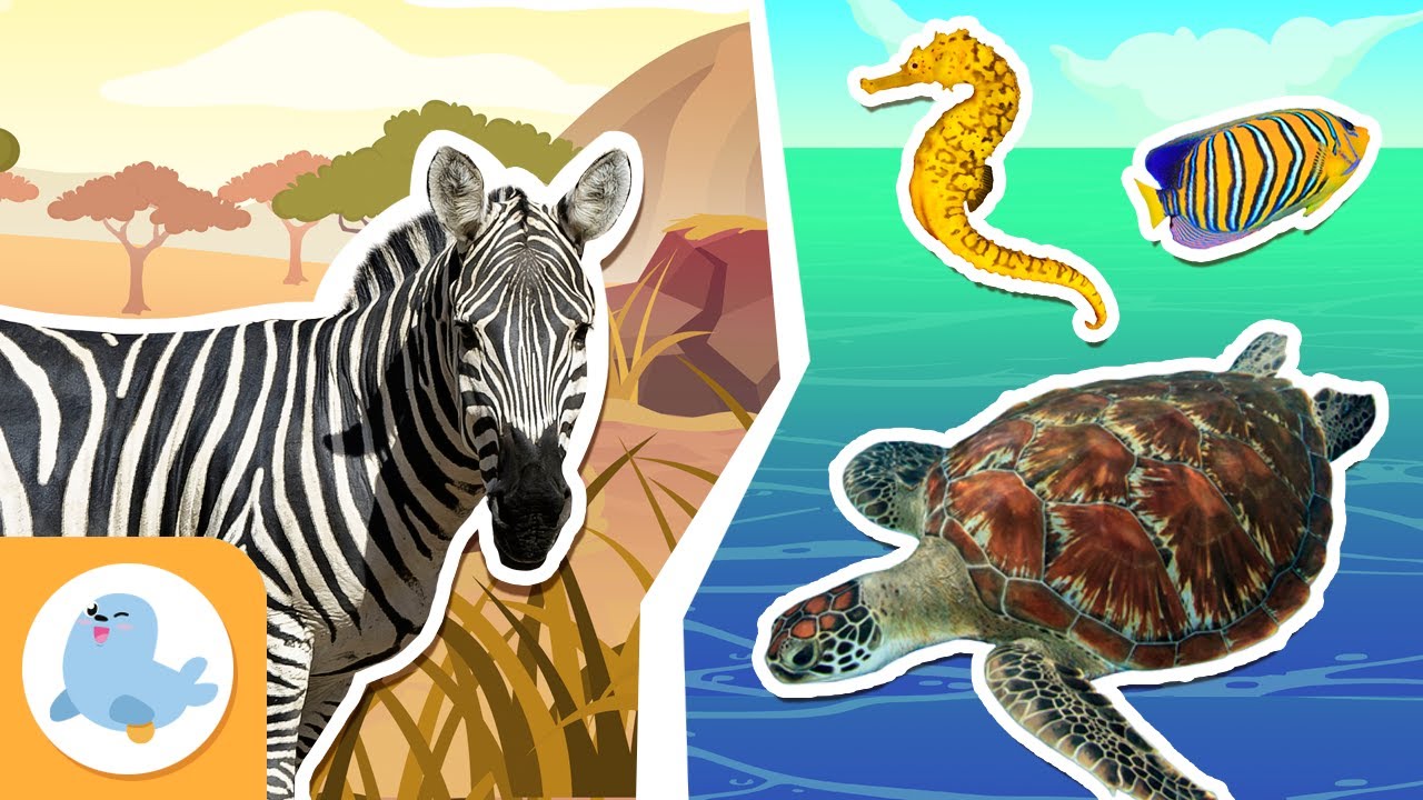 Animales acuáticos y terrestres para niños
