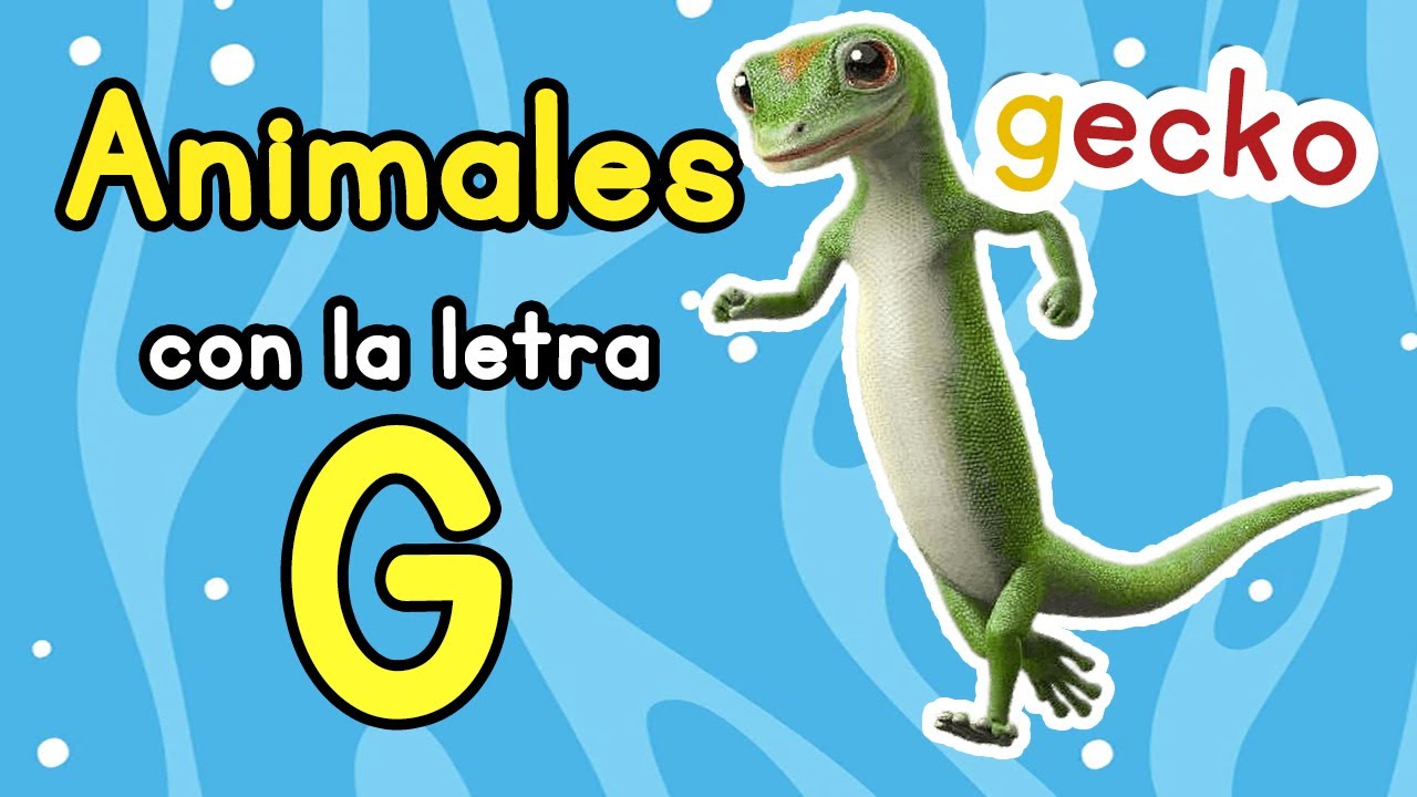 Animales sorprendentes que empiezan con G