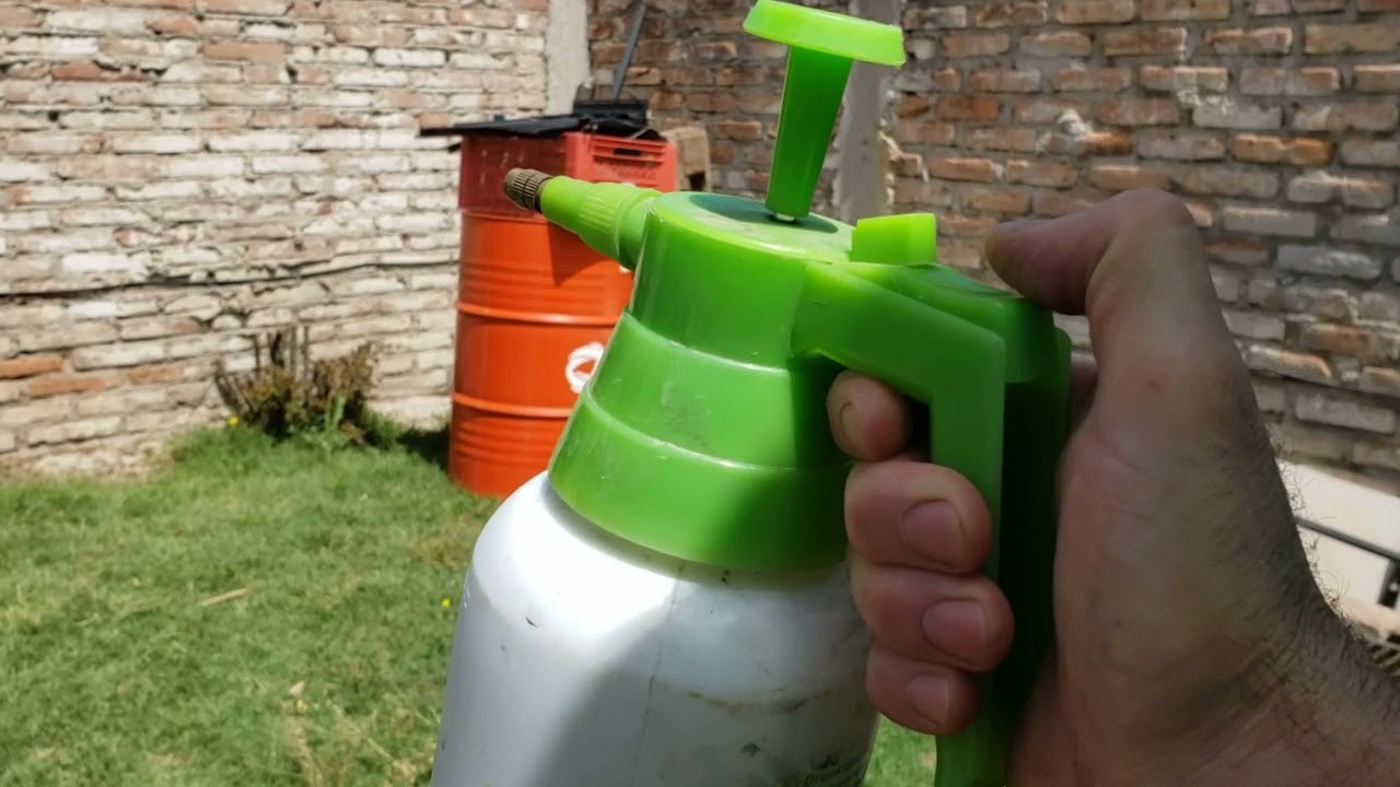 Aprende a controlar y eliminar las avispas en casa