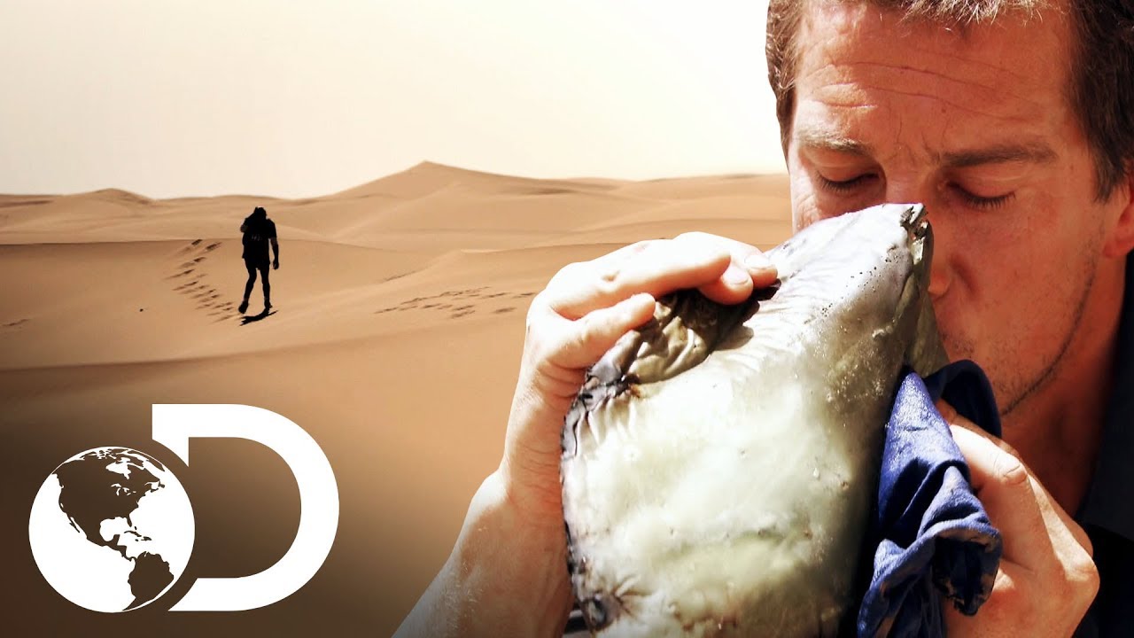 Aprende a sobrevivir en el desierto: ¡todos los consejos!