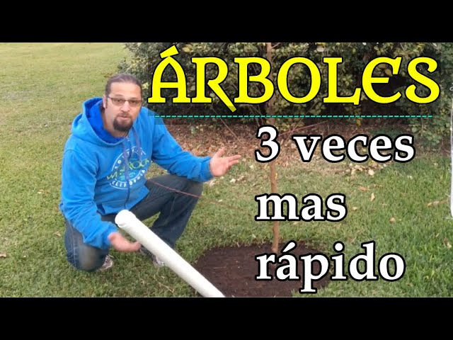 Árboles de rápido crecimiento y raíces poco profundas