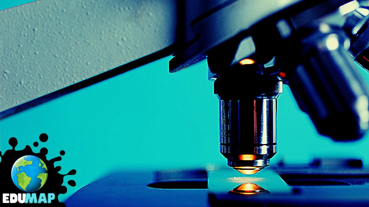 Avances y relevancia de la biología