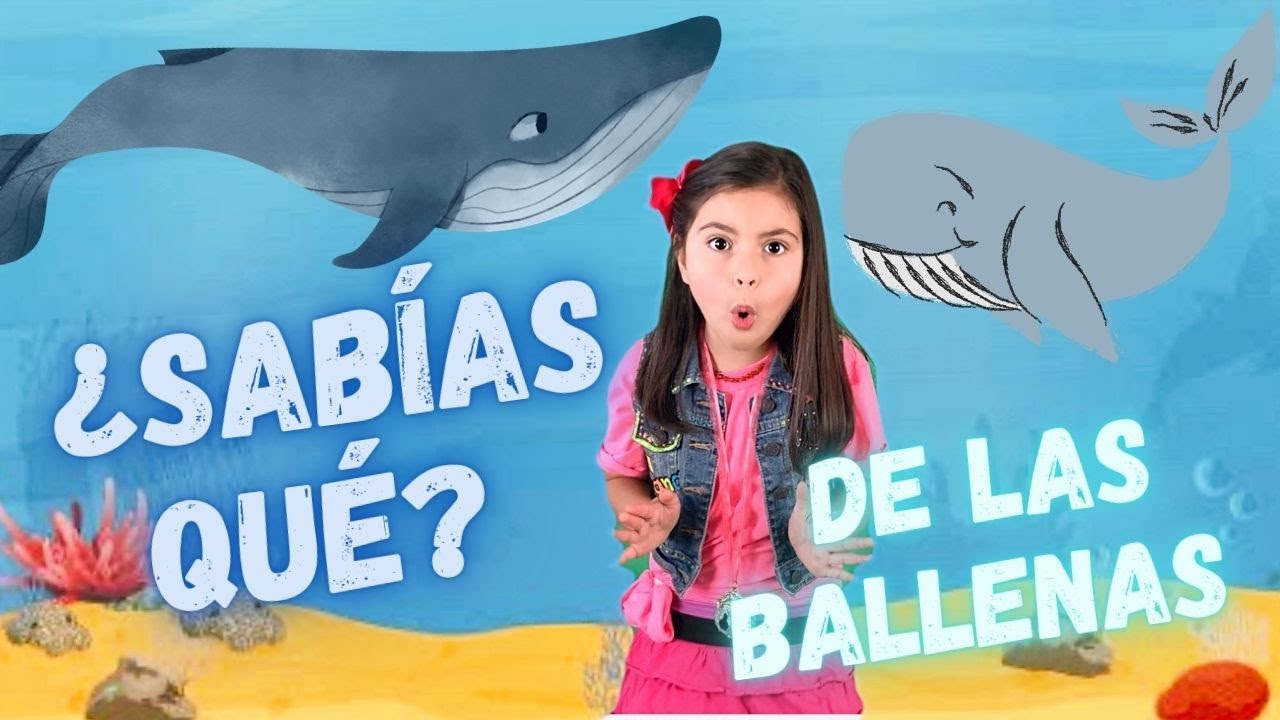 Ballenas: ¿carnívoras herbívoras u omnívoras?
