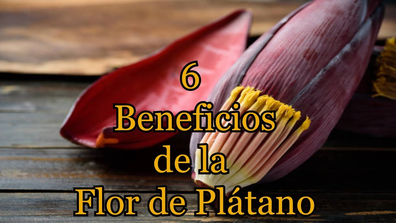Beneficios de la flor de plátano