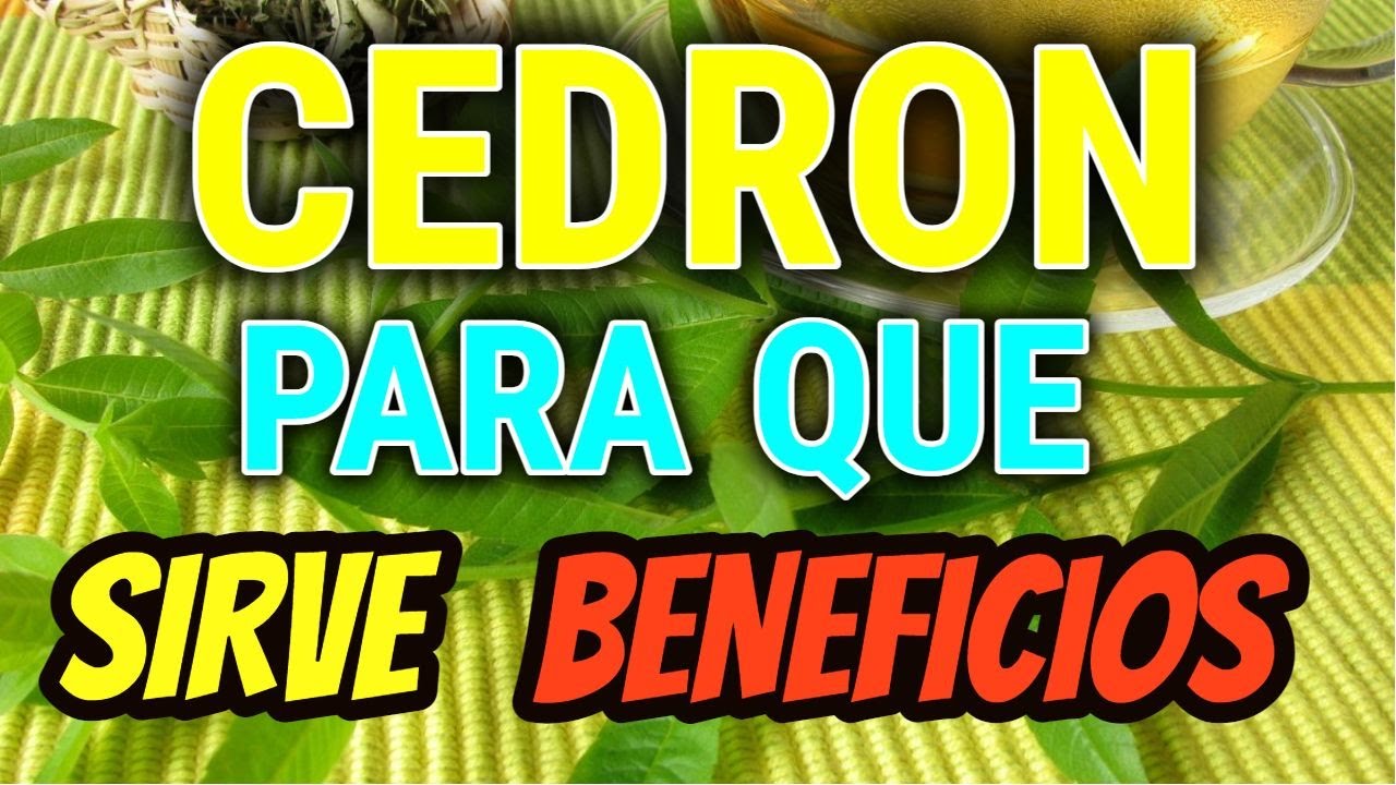 Beneficios del té de cedro