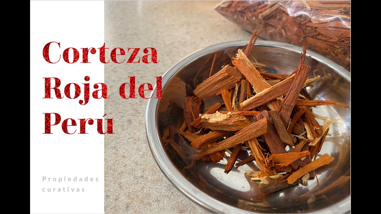 Beneficios y usos de la raíz roja del Perú