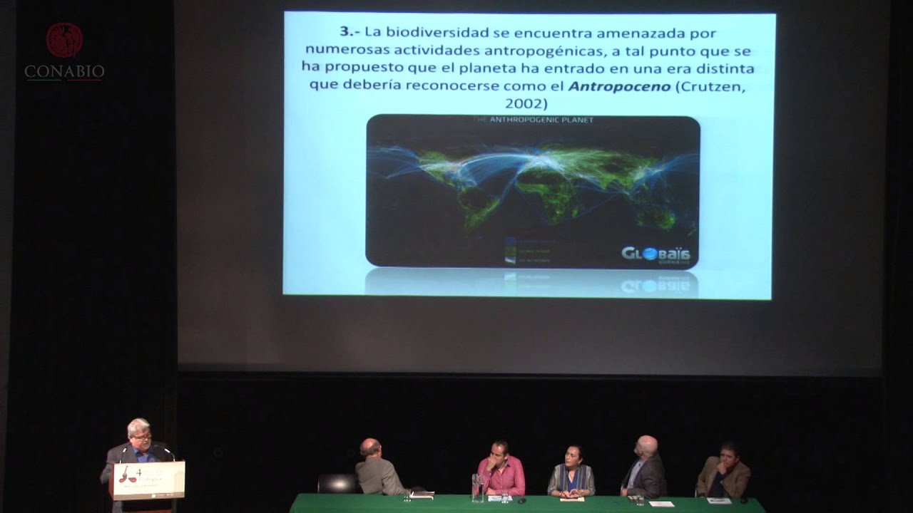 Bosque mesófilo de montaña: diversidad natural