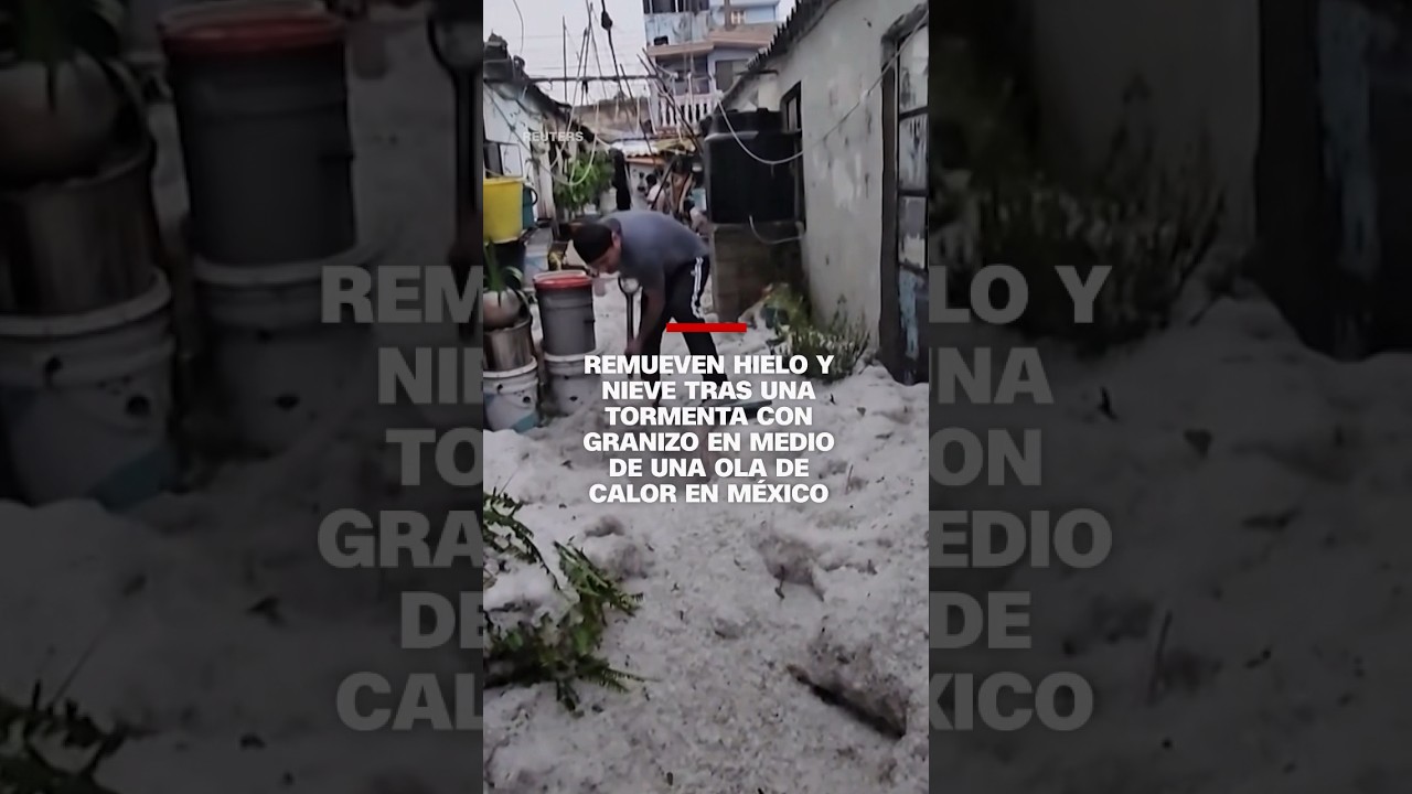 Calor intenso: ¡adiós al hielo!