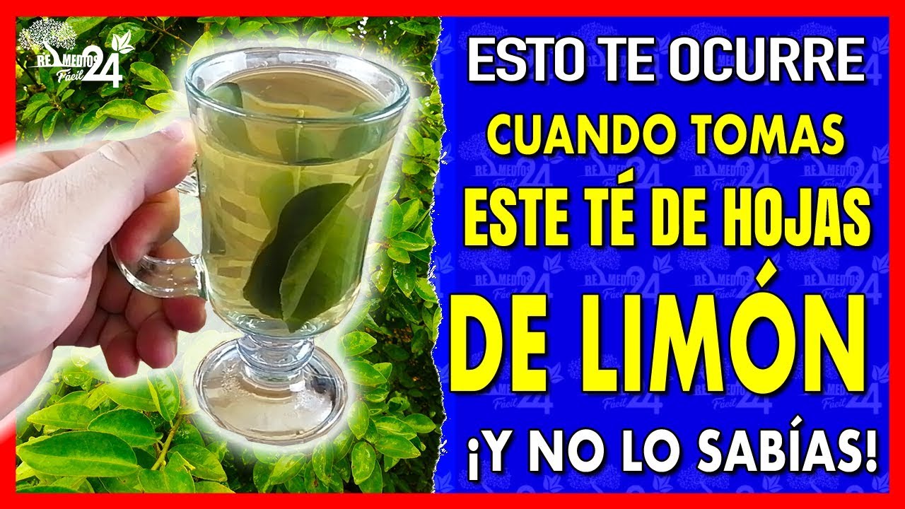 Características de la hoja de limón que te sorprenderán