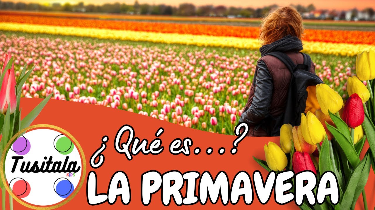 Características de la primavera que debes conocer