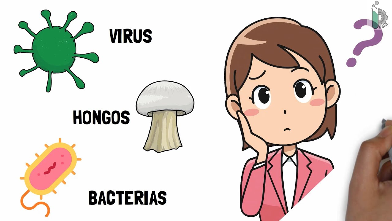 Características distintivas de bacterias y hongos