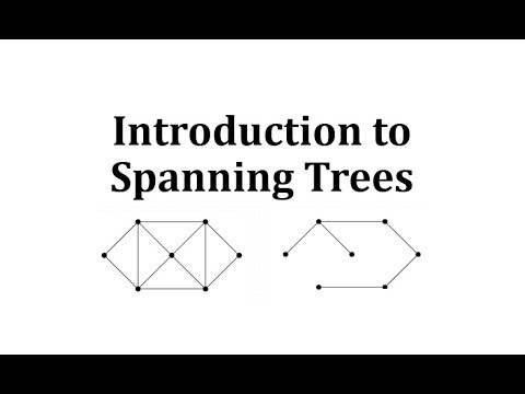 Características particulares del árbol de expansión