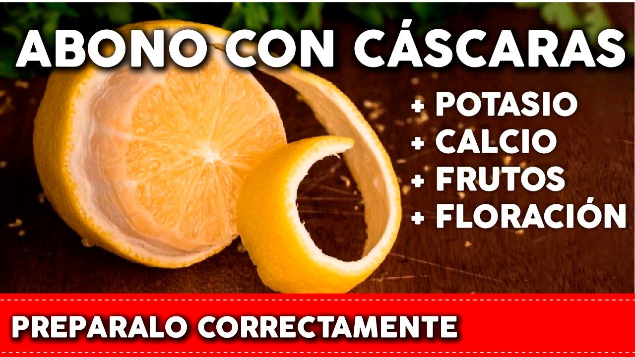 Cáscara de fruta como abono