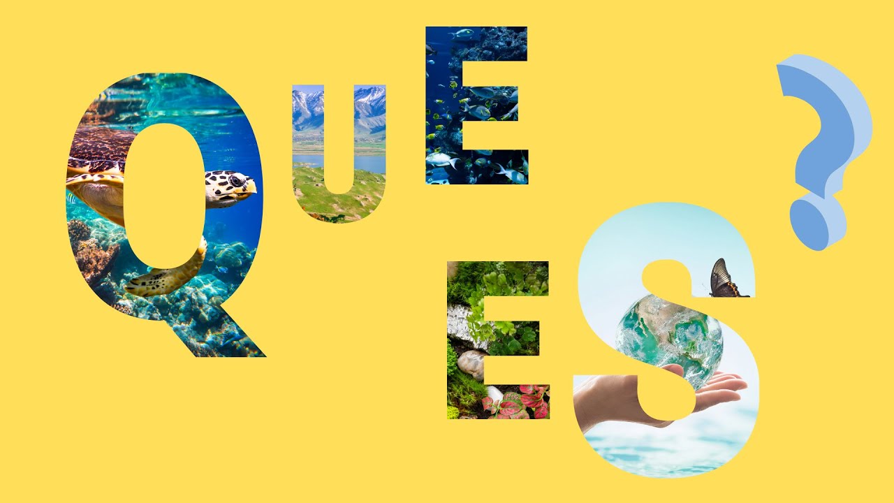 Causas de la alteración de un ecosistema