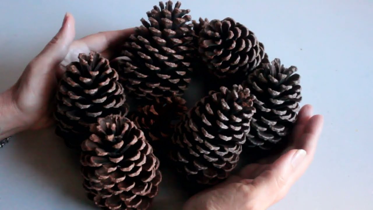 Centros de Mesa con Piñas Secas: Decoración Natural