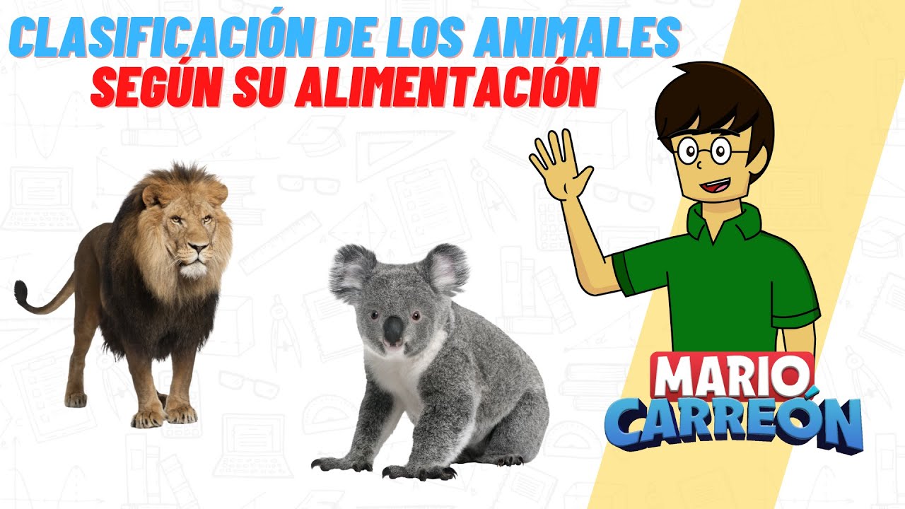 Clasificación de seres vivos según su dieta
