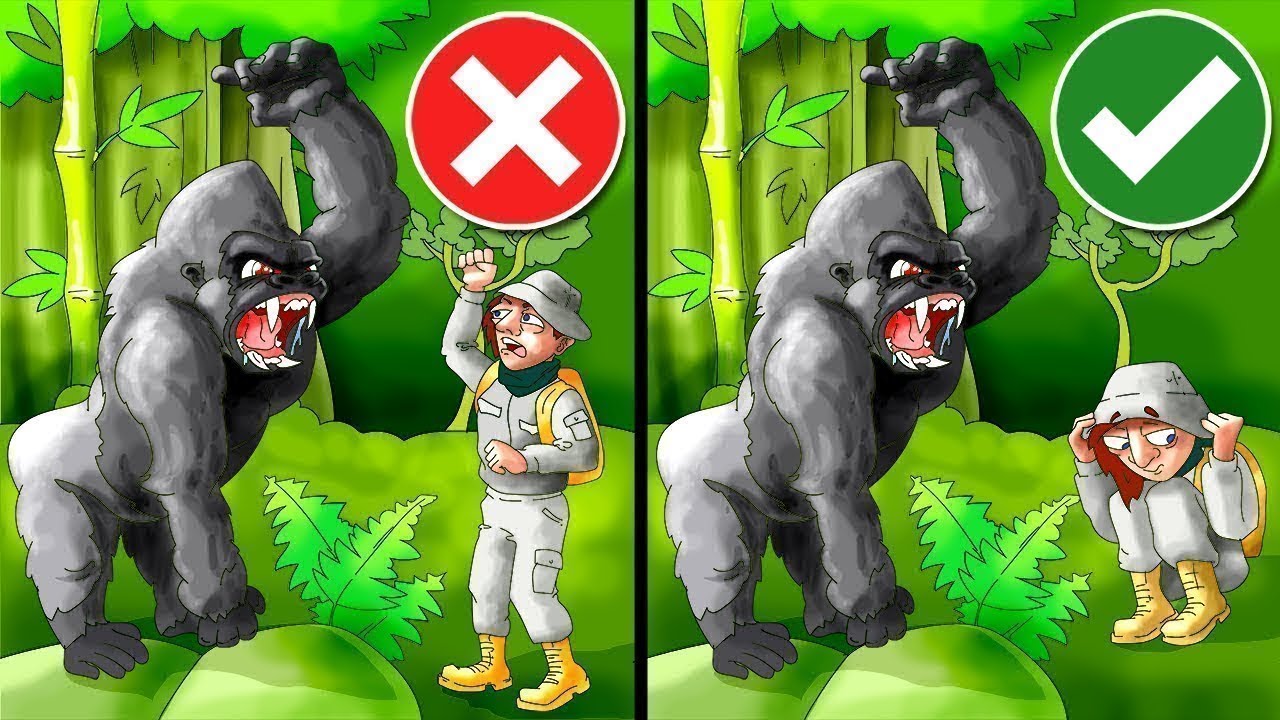 Cómo protegerse de animales peligrosos