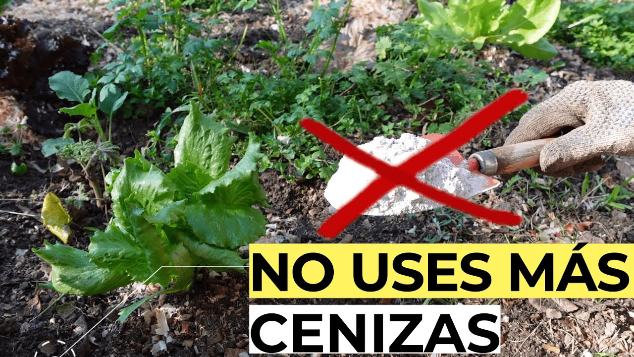 Componentes de la ceniza de leña
